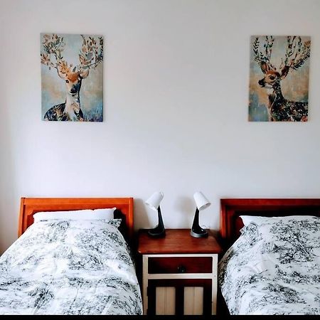 Close To The Famous Bondi Beach In Australia Cité de Cité de Sydney Extérieur photo